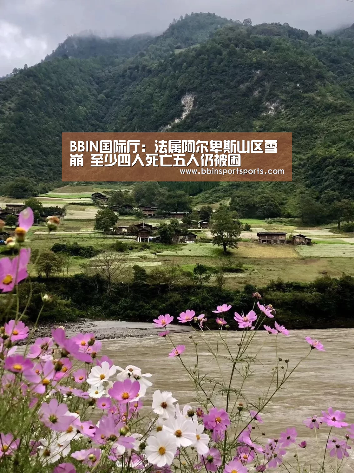 BBIN国际厅