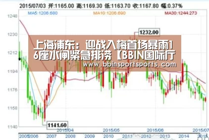 上海浦东:迎战入梅首场暴雨16座水闸紧急排涝【BBIN国际厅】(图3) BBIN体育