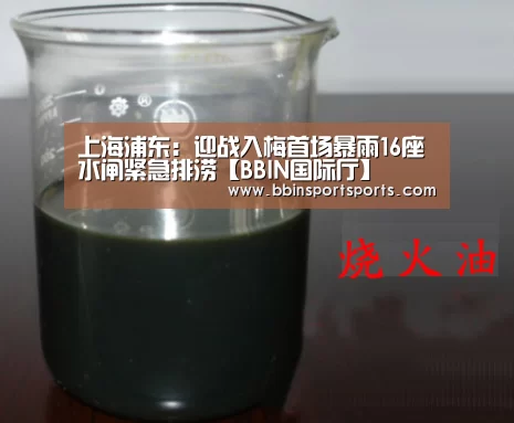 上海浦东:迎战入梅首场暴雨16座水闸紧急排涝【BBIN国际厅】(图4) BBIN体育