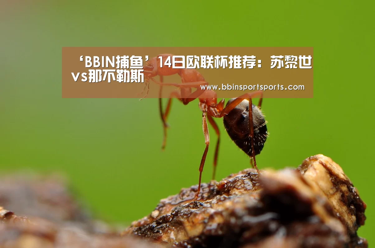 ‘BBIN捕鱼’14日欧联杯推荐:苏黎世vs那不勒斯(图3) BBIN国际厅