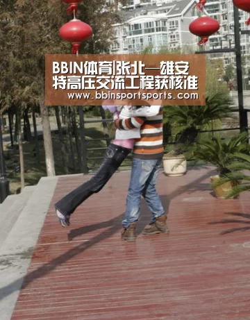 BBIN体育|张北—雄安特高压交流工程获核准(图1) BBIN国际厅