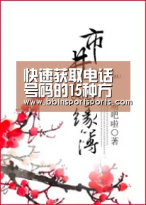 快速获取电话号码的15种方法“BBIN体育”(图3) BBIN体育