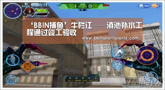 BBIN体育